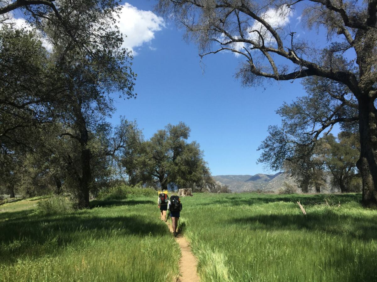 Top PCT Bloggers to Follow : Discover the Trail Through Their Words